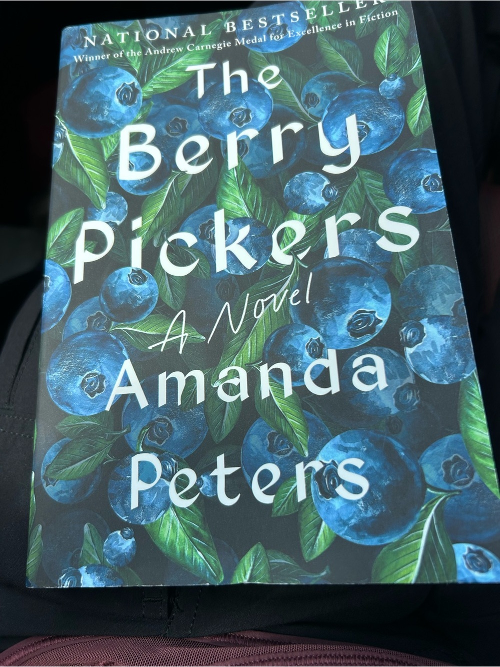 The Berry Pickers PB Book